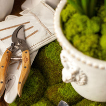 Load image into Gallery viewer, Indoor Gardening Set