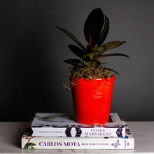 Load image into Gallery viewer, Mini Mazagran, Poterie de la Madeleine, assorted colors