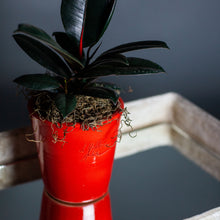 Load image into Gallery viewer, Mini Mazagran, Poterie de la Madeleine, assorted colors