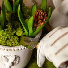 Load image into Gallery viewer, Indoor Gardening Set