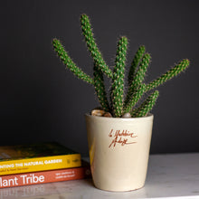 Load image into Gallery viewer, Mini Mazagran, Poterie de la Madeleine, assorted colors