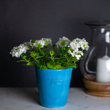 Load image into Gallery viewer, Mini Mazagran, Poterie de la Madeleine, assorted colors