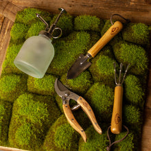 Load image into Gallery viewer, Indoor Gardening Set