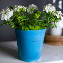 Load image into Gallery viewer, Mini Mazagran, Poterie de la Madeleine, assorted colors