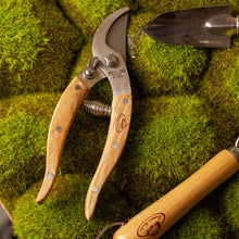 Load image into Gallery viewer, Indoor Gardening Set