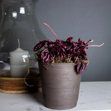 Load image into Gallery viewer, Mini Mazagran, Poterie de la Madeleine, assorted colors