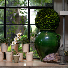 Load image into Gallery viewer, Preserved Boxwood Sphere