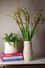 Load image into Gallery viewer, Handmade Porcelain Coil Vase