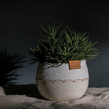 Load image into Gallery viewer, Ceramic and Cotton Rope Cachepots