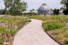 Load image into Gallery viewer, Piet Oudolf Garden Tool Collection Set