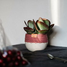 Load image into Gallery viewer, Ceramic and Cotton Rope Cachepots