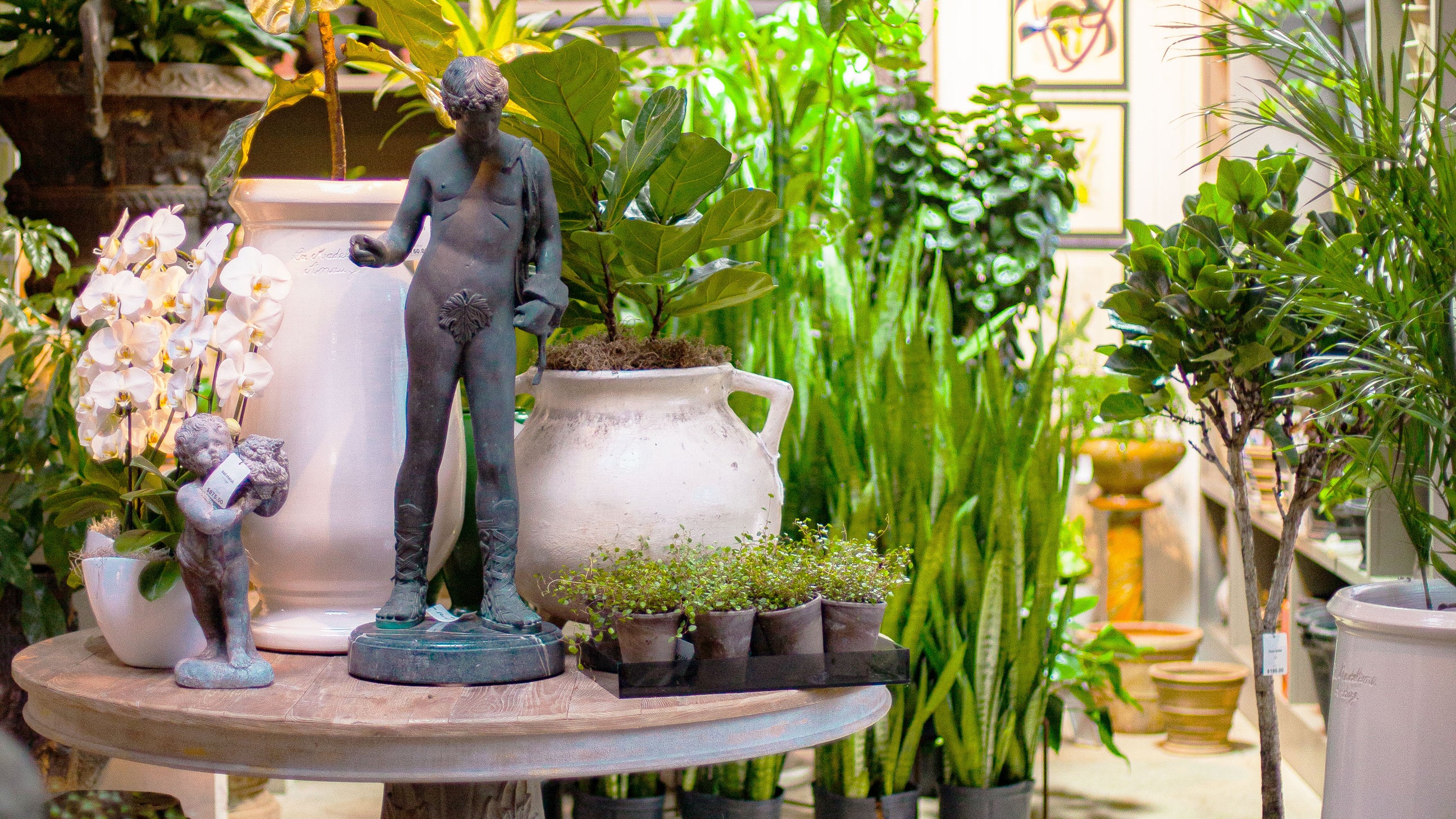 January and Our Northern Gardenscapes
