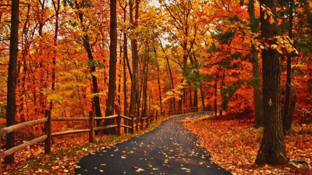 Country Roads and Colors to Dazzle the Spirit