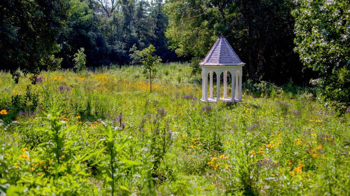 Landscape: Designing for Wildlife