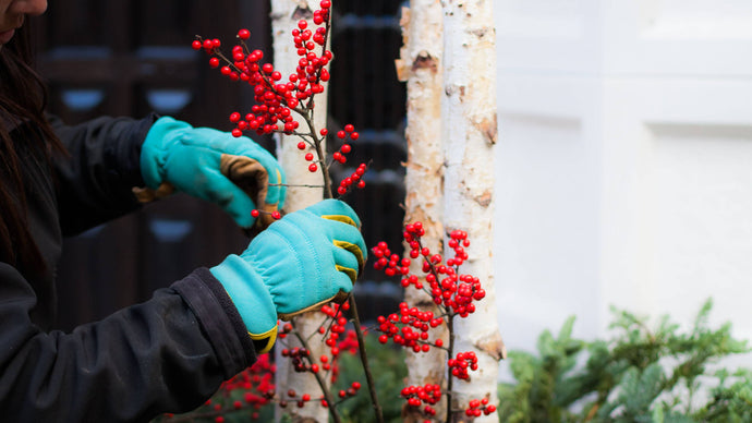 Festive Winter Containers