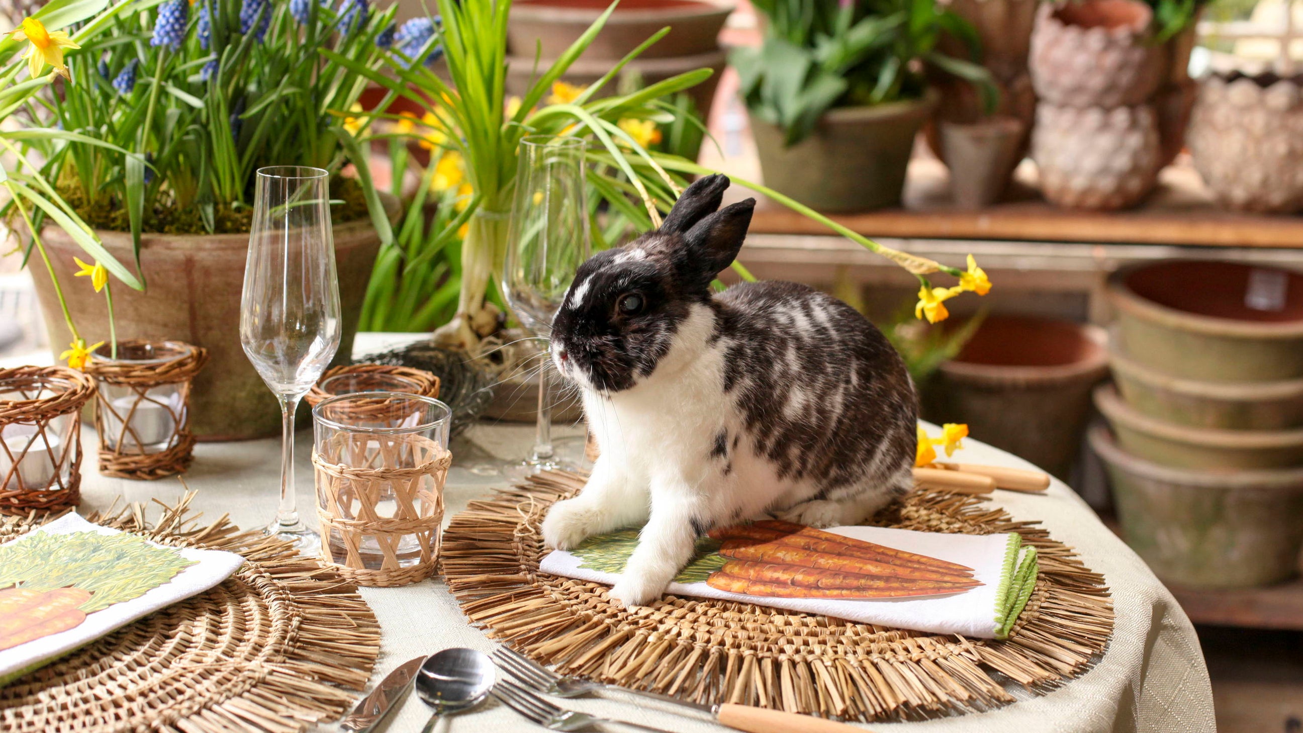 A Garden Party