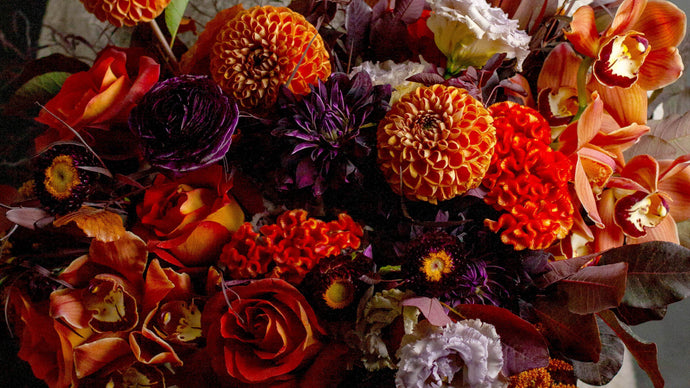 Fall 2023 Floral Collection