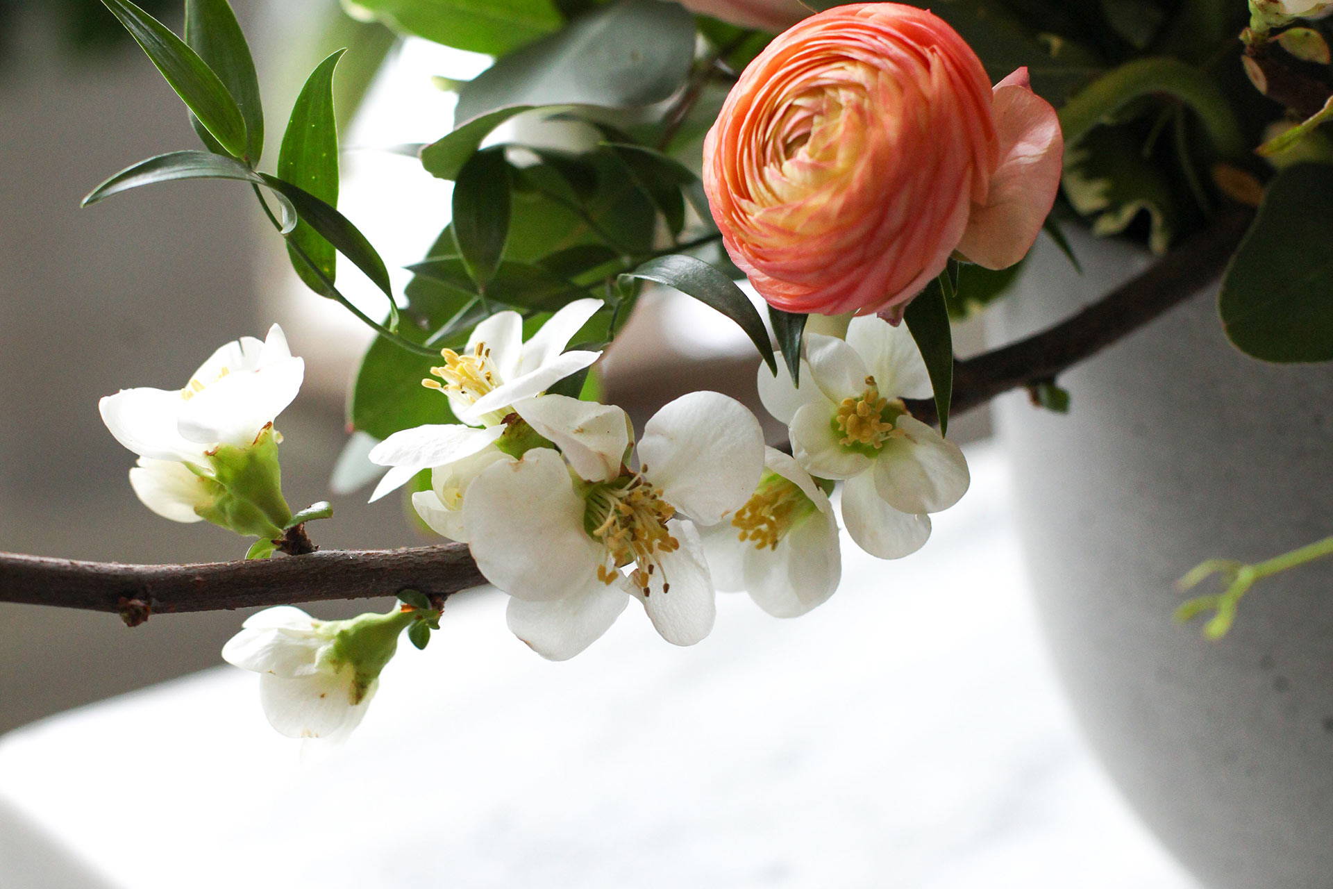 The Beauty of Flowering Branches Indoors