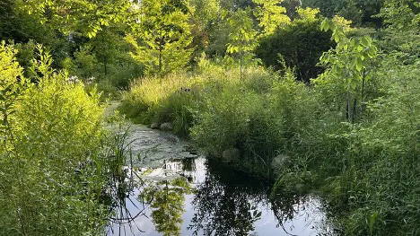 The Garden Conservancy – Open Days