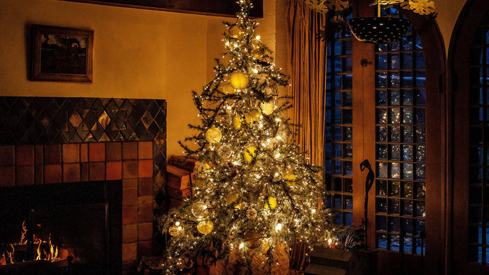Designing at Home: Holiday Décor