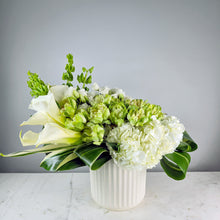 Load image into Gallery viewer, Designer&#39;s Choice GREEN &amp; WHITE
