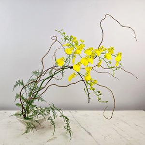 Designer's Choice NATURAL