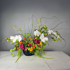 Designer's Choice CITRUS