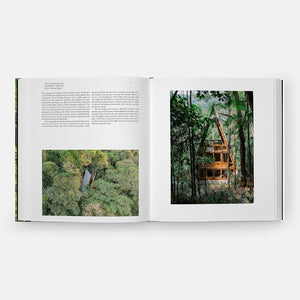 Living In The Forest