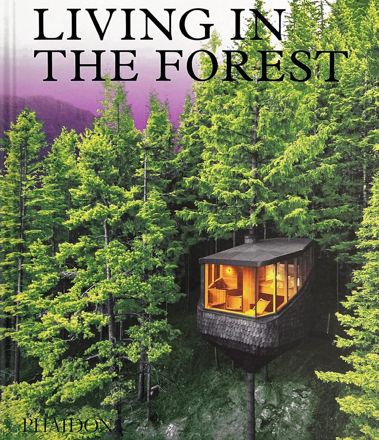 Living In The Forest