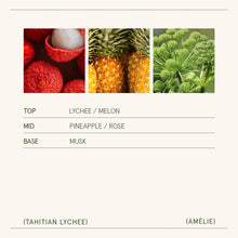 Load image into Gallery viewer, La Jolie Muse Amélie Candle Collection, 19 oz.
