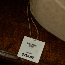 Load image into Gallery viewer, MISTRI Pillow  - 22"x22"
