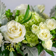 Load image into Gallery viewer, Designer&#39;s Choice GREEN &amp; WHITE
