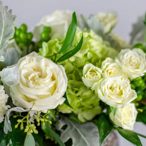 Designer's Choice GREEN & WHITE