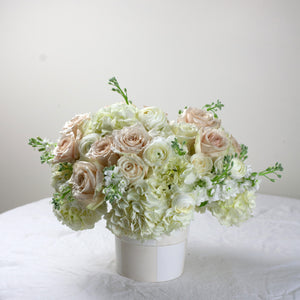 Designer's Choice GREEN & WHITE