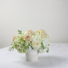 Load image into Gallery viewer, Designer&#39;s Choice GREEN &amp; WHITE
