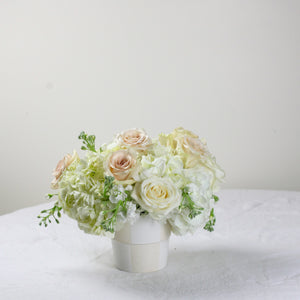 Designer's Choice GREEN & WHITE