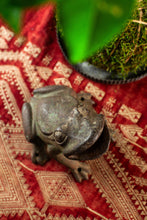 Load image into Gallery viewer, Cast Iron Frog
