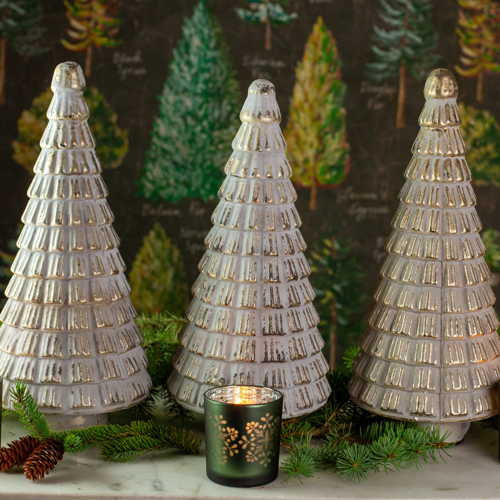 Silver Norway Tree, 15