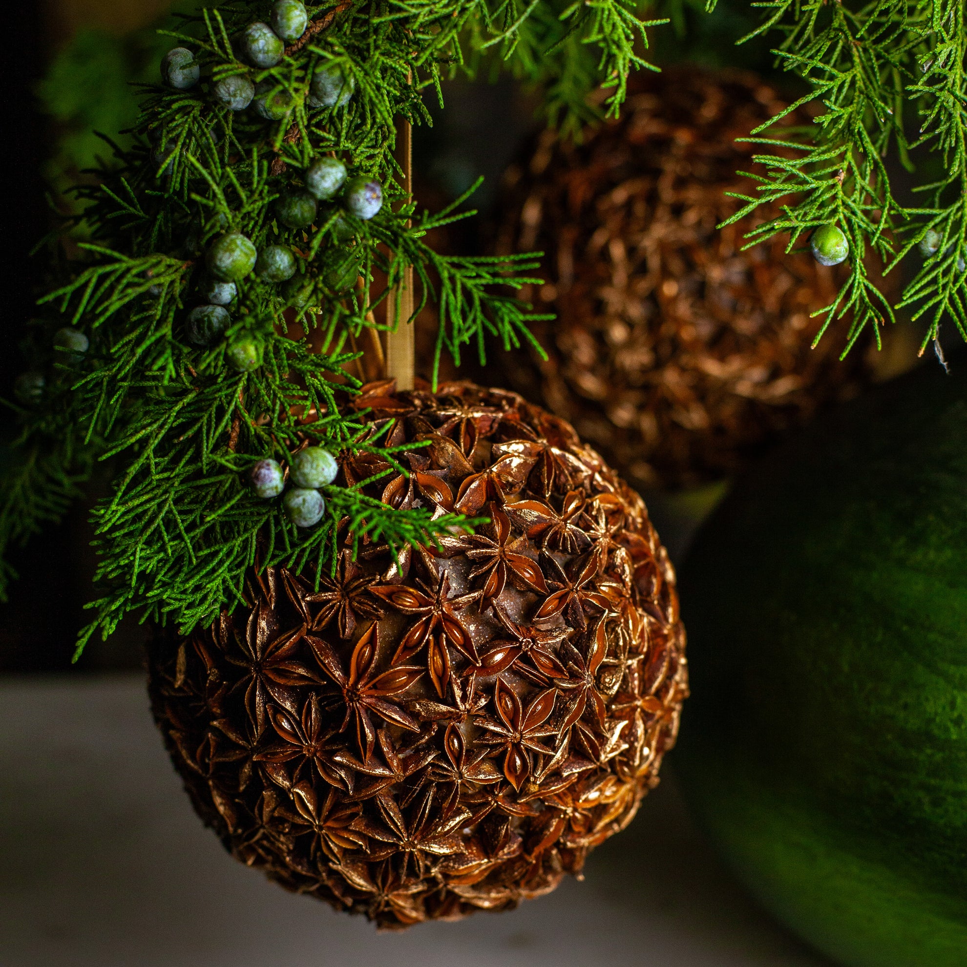 Gilded Star Anise Bulb Ornament, Set of 3