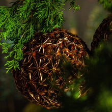 Load image into Gallery viewer, Gilded Star Anise Bulb Ornament, Set of 3
