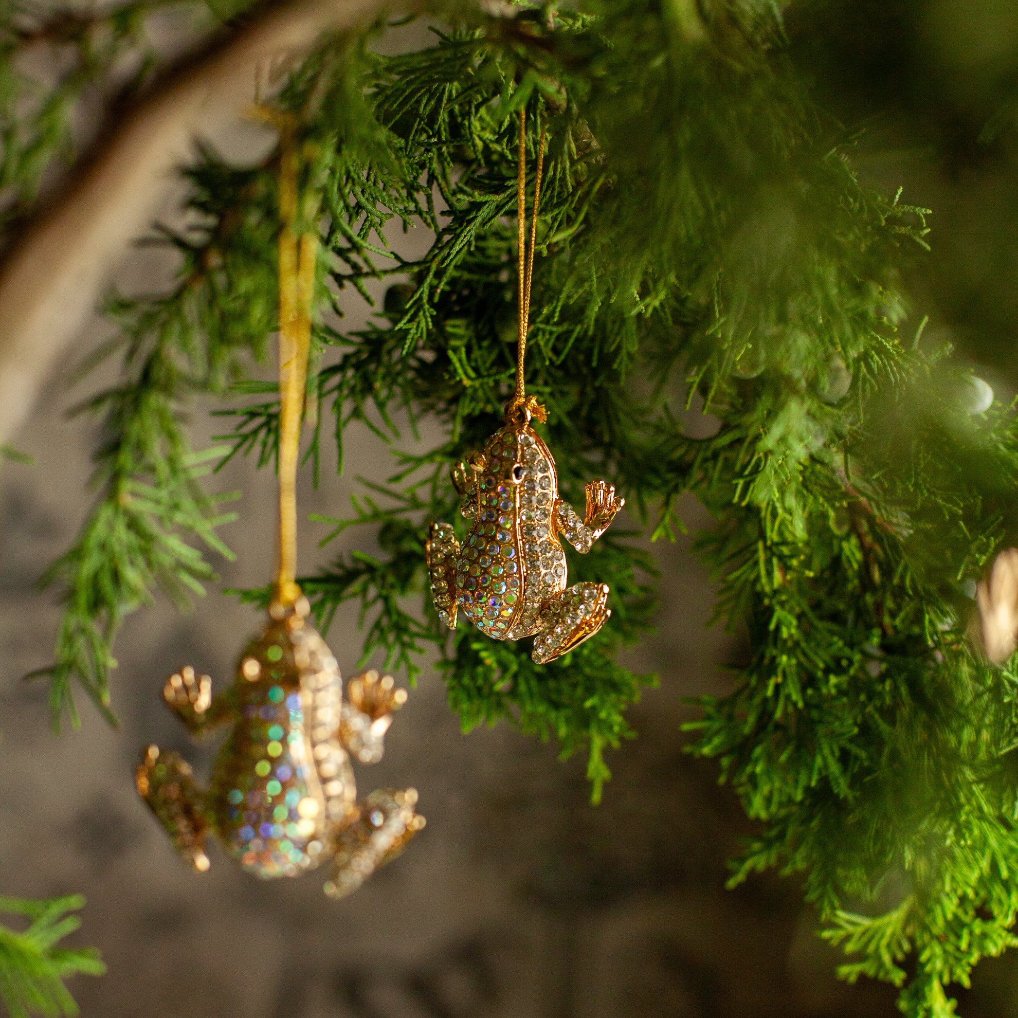 Rhinestone Frog Ornament, Set of 3