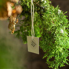 Load image into Gallery viewer, Rhinestone Frog Ornament, Set of 3
