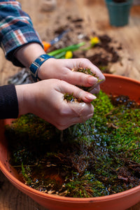 Kokedama Workshop - Saturday, April 12