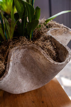 Load image into Gallery viewer, Willy Guhl Wavy Planter
