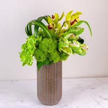 Load image into Gallery viewer, Designer&#39;s Choice GREEN &amp; WHITE
