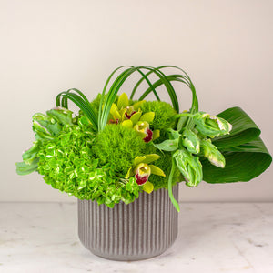 Designer's Choice GREEN & WHITE