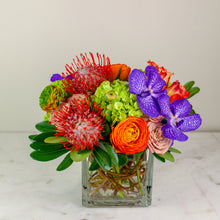 Load image into Gallery viewer, Designer&#39;s Choice BRIGHT &amp; BOLD
