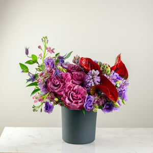 Designer's Choice BRIGHT & BOLD