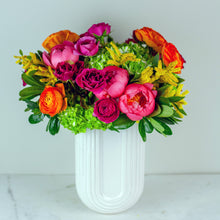 Load image into Gallery viewer, Designer&#39;s Choice BRIGHT &amp; BOLD
