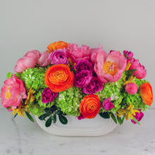Load image into Gallery viewer, Designer&#39;s Choice BRIGHT &amp; BOLD

